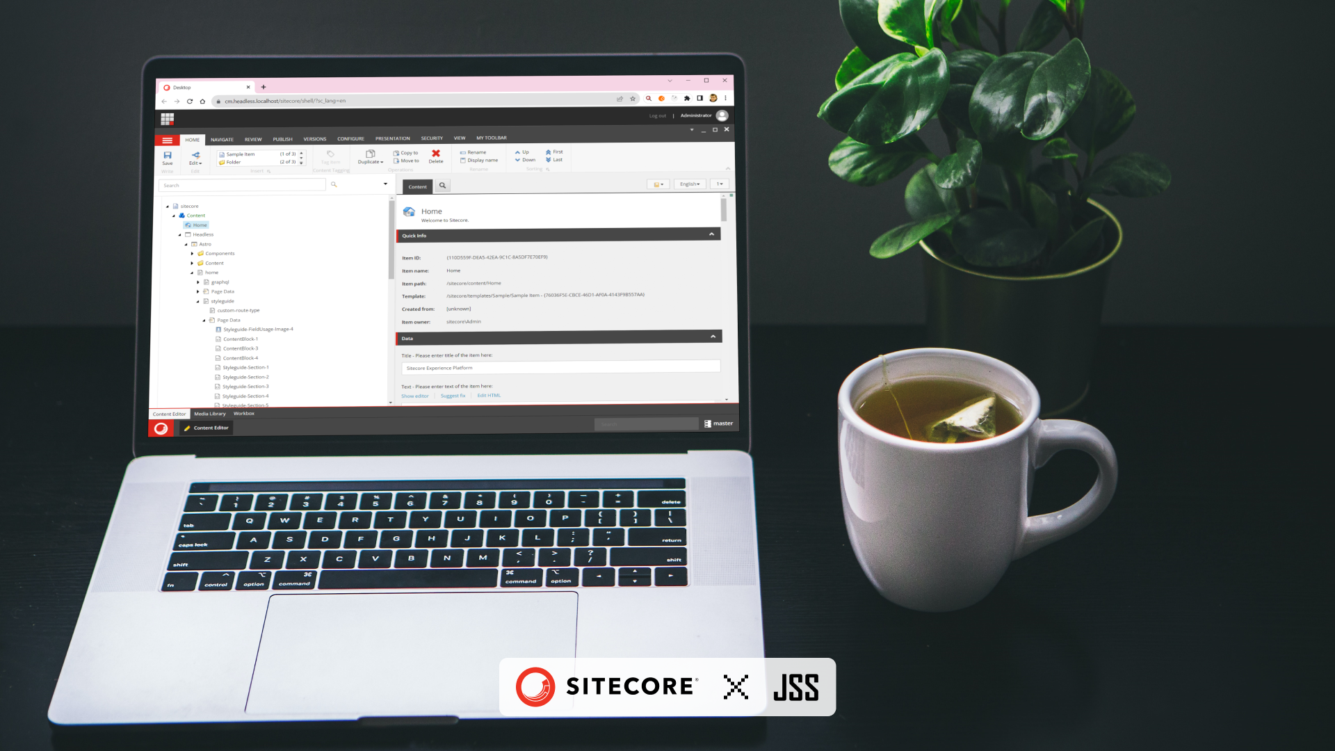Cover Image for How to Build Your Own Framework Implementation for Sitecore JSS? 